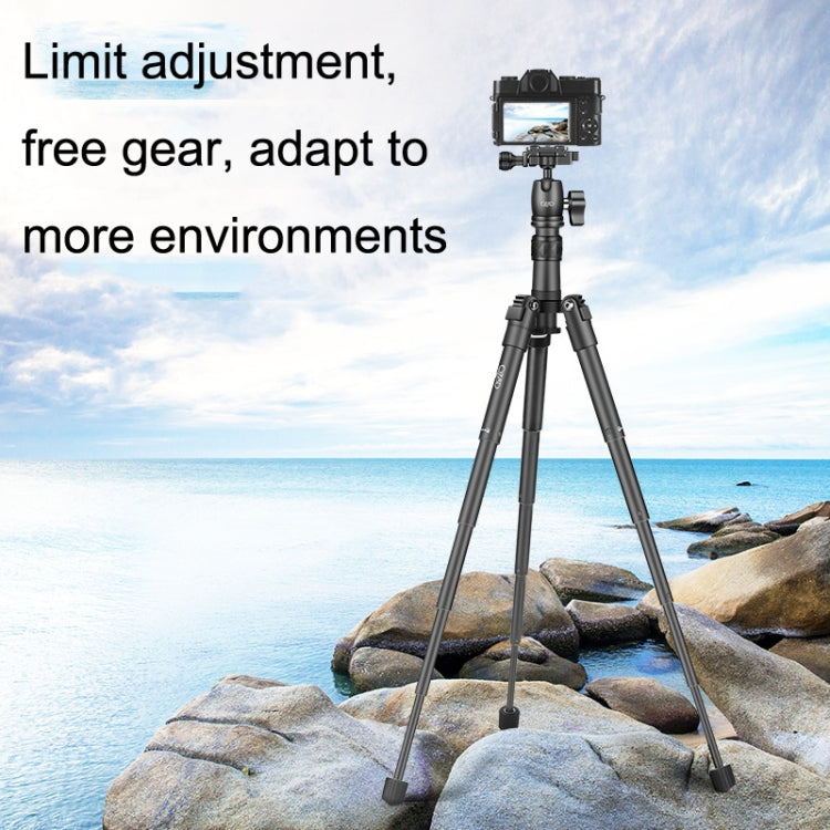 QingZhuangShiDai Q3110 Aluminum Mini Portable Desktop Action Camera Tripod My Store