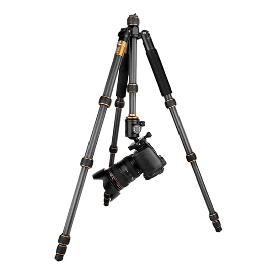 QingZhuangShiDai Q666C Portable Travel Photography Ball Head SLR Camera Carbon Fiber Tripod