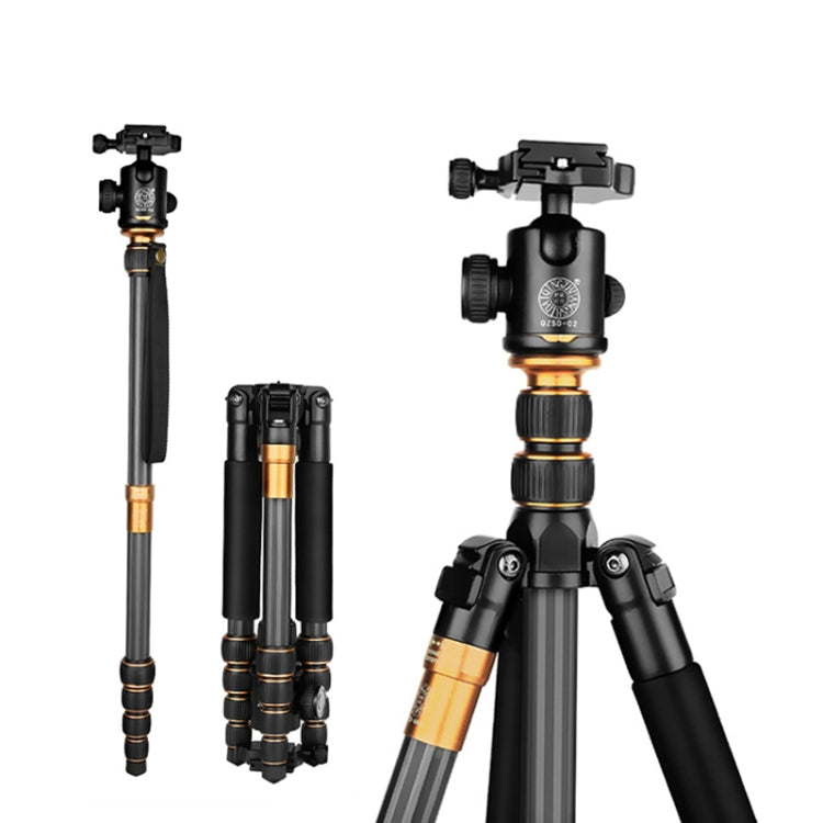 QingZhuangShiDai Q666C Portable Travel Photography Ball Head SLR Camera Carbon Fiber Tripod