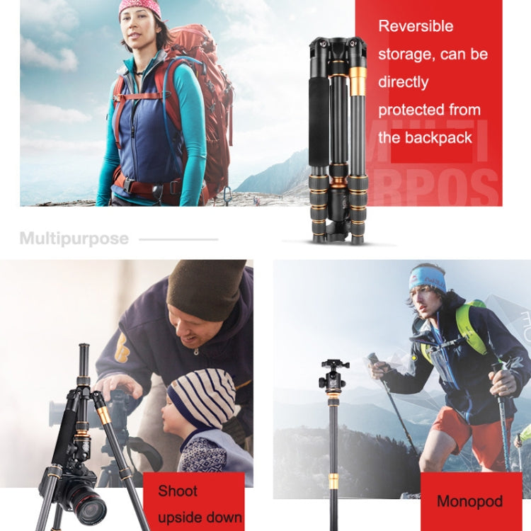 QingZhuangShiDai Q666C Portable Travel Photography Ball Head SLR Camera Carbon Fiber Tripod