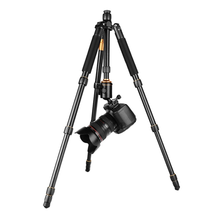 QingZhuangShiDai Q666 Portable Travel SLR Camera Aluminum Magnesium Alloy Tripod My Store