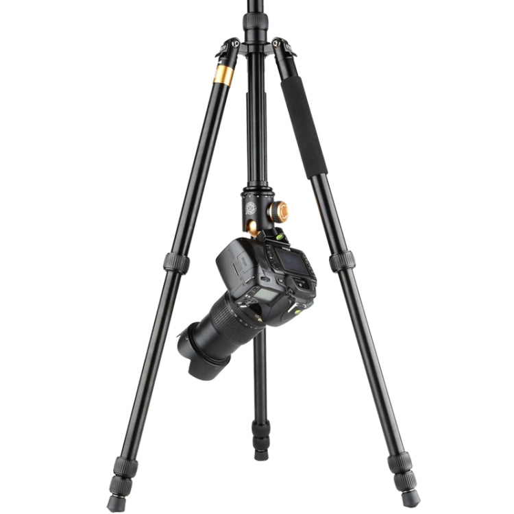 QingZhuangShiDai  Q999B Portable and Stable Photography SLR Digital Camera Tripod