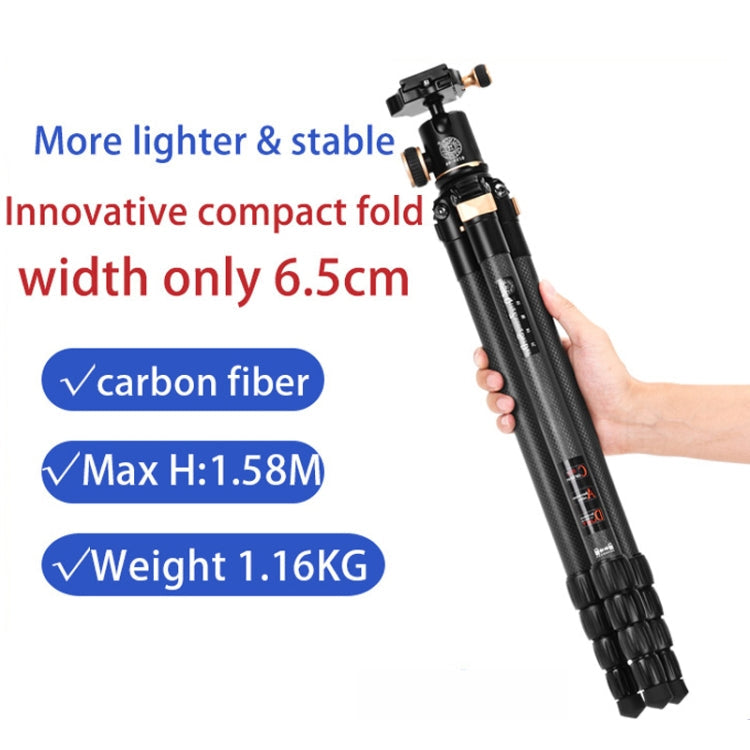 QingZhuangShiDai Q8805C CNC Camera SLR Carbon Fiber Tripod Without Central Axis