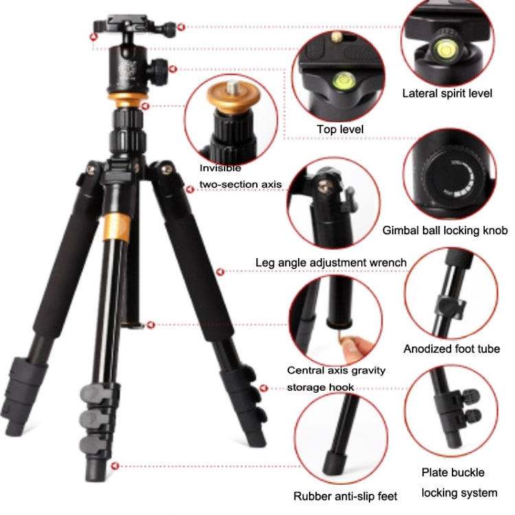 QingZhuangShiDai Q570 Multifunctional Digital SLR Camera Portable Tripod My Store