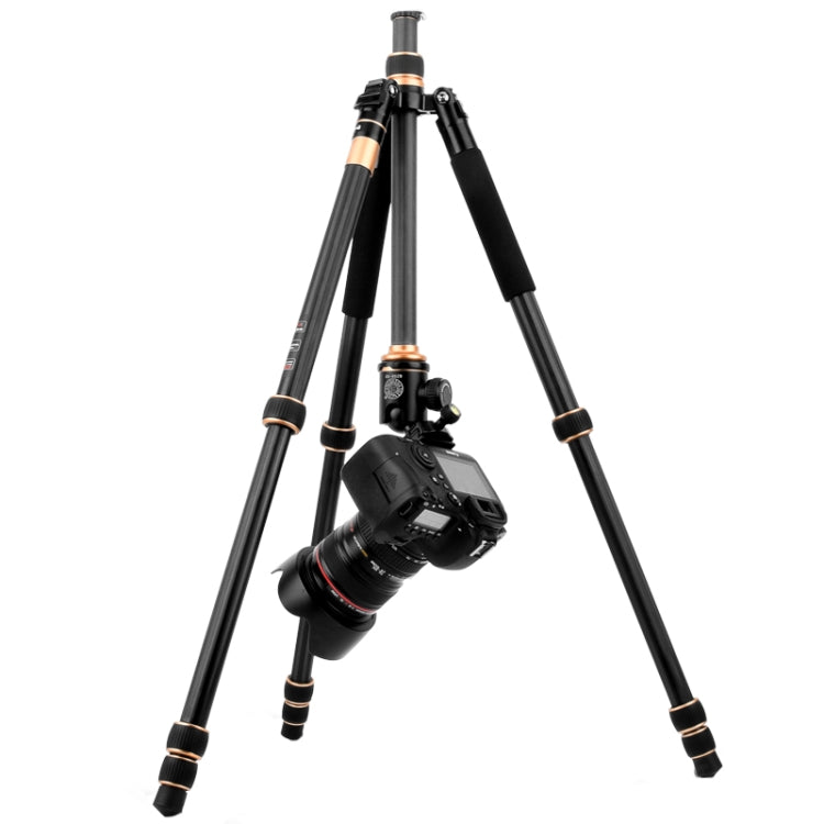 QingZhuangShiDai Q222C SLR Camera Carbon Fiber Portable Travel Tripod