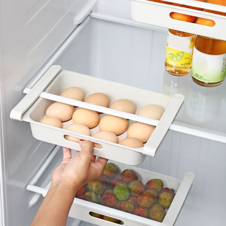 Refrigerator Drawing Egg Fruit Vegetable Storage Box Reluova