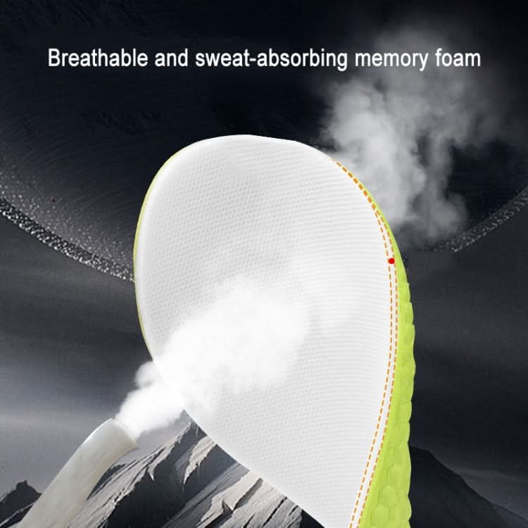 Sports Shock-absorbing Breathable Sweat-absorbing Inner Heightening Insole Reluova