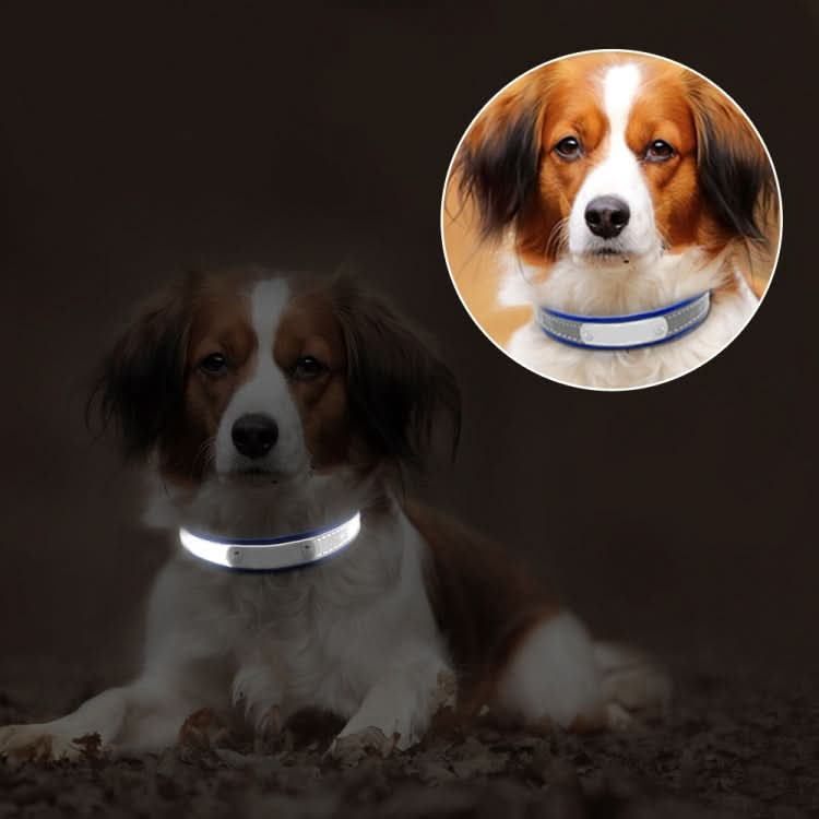 CL181K Pet Soft Reflecting Collar, Series 1 - Reluova