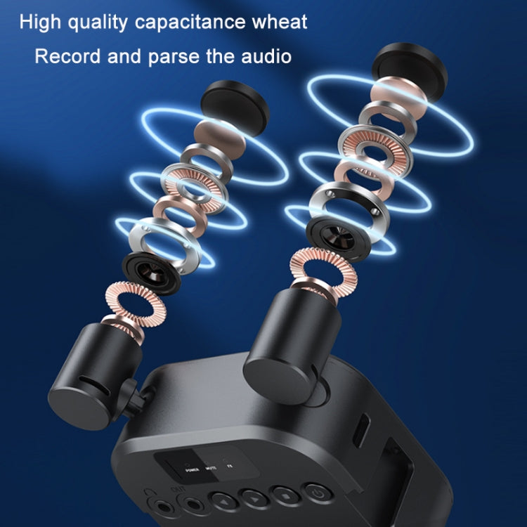 MAMEN Broadcast Multi-Angle Stereo Microphone Lights, Model: My Store