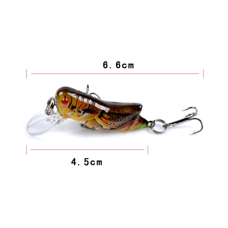 LB119 Insect Grasshopper Bionic Bait Painted Plastic Hard Bait Reluova