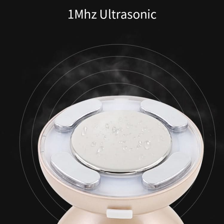 Ultrasonic Color Light RF Beauty Instrument Fat Blasting Instrument Reluova