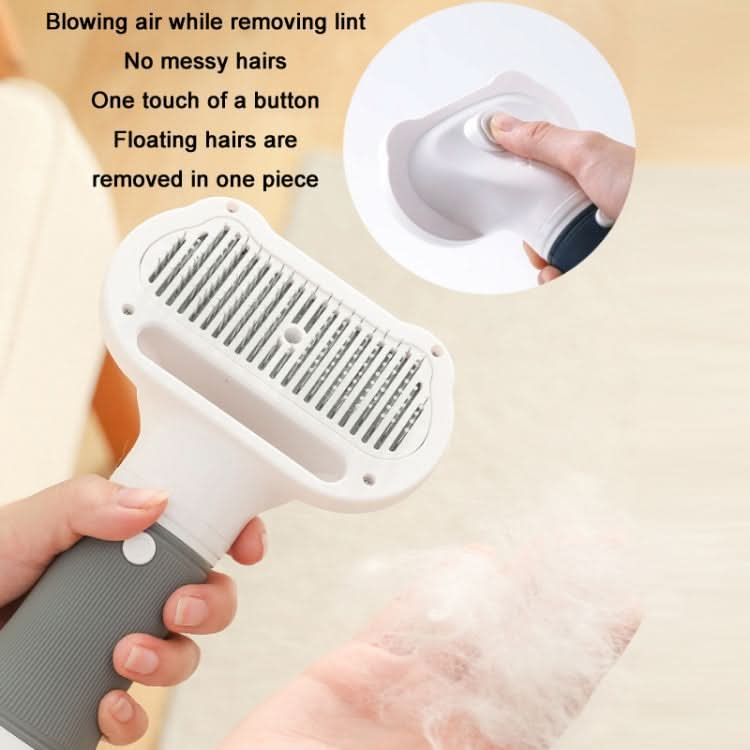 3 in 1 600W Pet Electric High Wind Hair Removal Blowing Combs, Specification: - Reluova