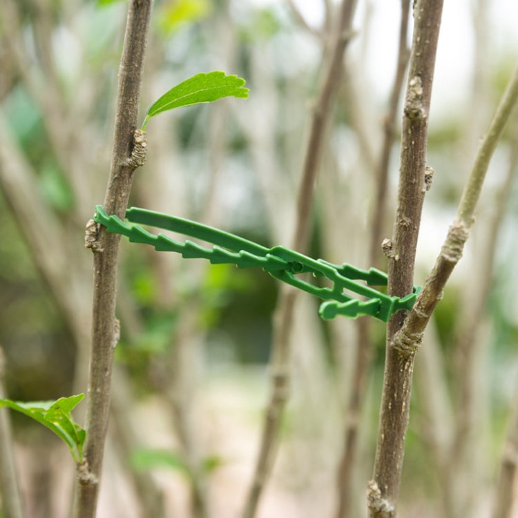 Multi-Purpose Garden Plants Fishbone Cable Ties, Length: 23cm/50pcs My Store