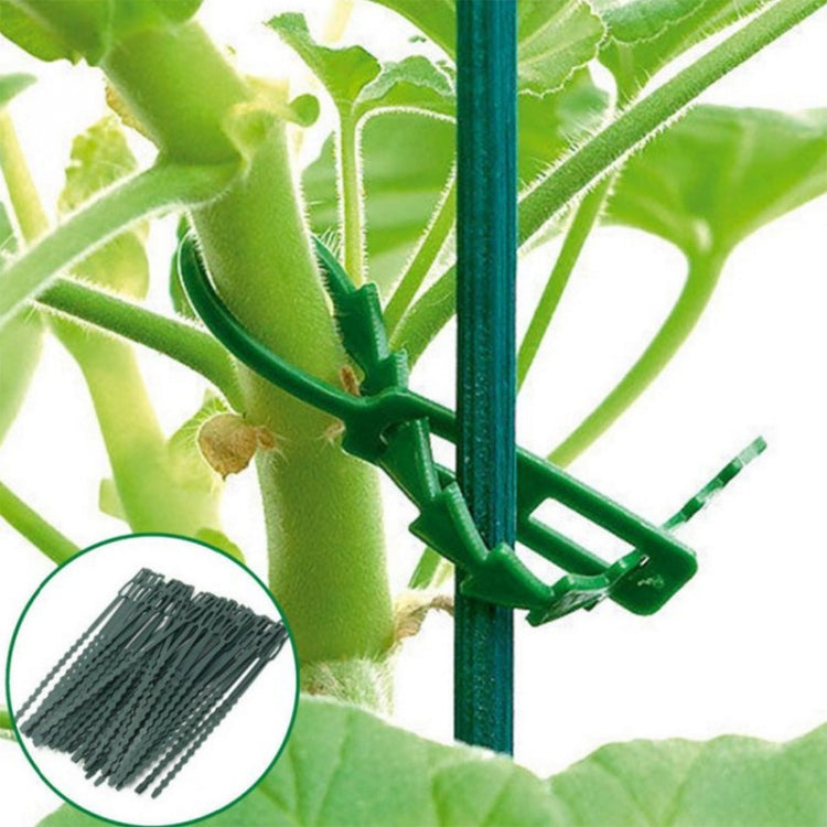 Multi-Purpose Garden Plants Fishbone Cable Ties, Length: 23cm/50pcs My Store