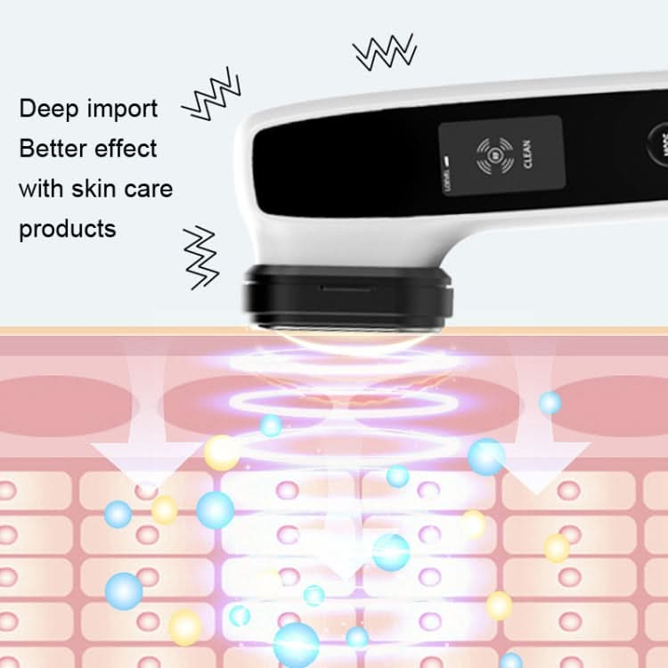 KAKUSAN KKS154-A EMS Microcurrent Home Photonic Skin Rejuvenation RF Beauty Instrument Reluova