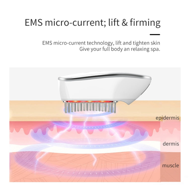 KAKUSAN KKS-189 EMS Microcurrent RF Hair Care Meridian Electric Massage Instrument Reluova