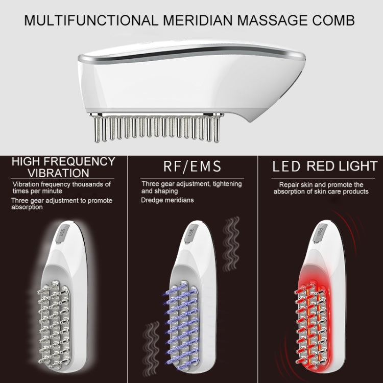 KAKUSAN KKS-189 EMS Microcurrent RF Hair Care Meridian Electric Massage Instrument Reluova