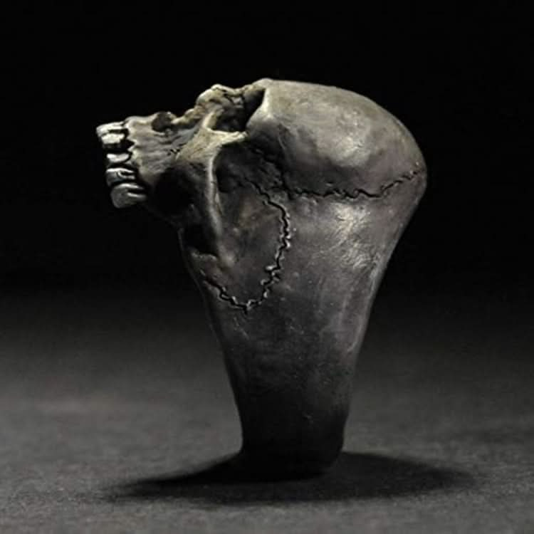 C56213 2pcs Punk Vintage Skull Ring Horror Skull Ring Men Gift Reluova