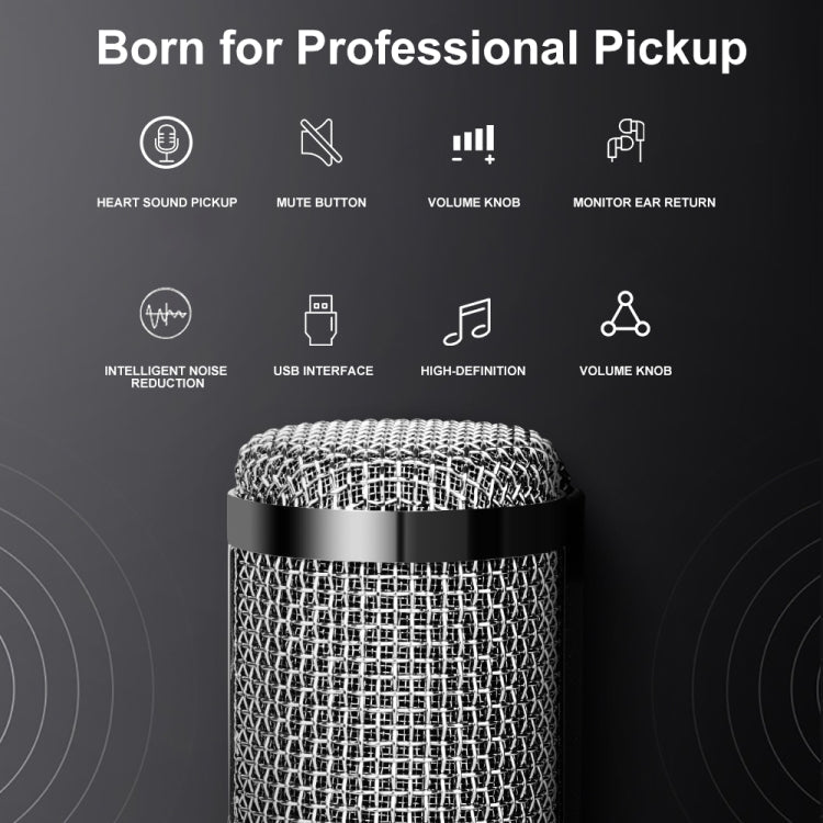 A9 USB Computer Phone Live Broadcast Microphone National K Song Recording Wired Microphone