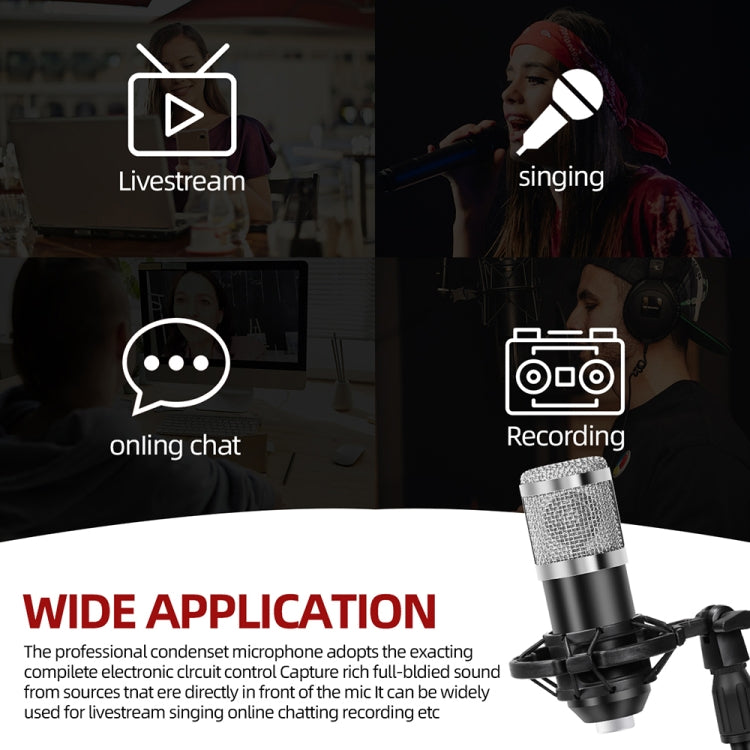 A9 USB Computer Phone Live Broadcast Microphone National K Song Recording Wired Microphone