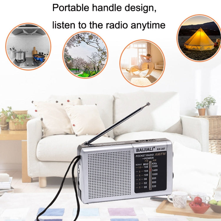 BAIJIALI BJL228 Retro Portable Two Band FM AM Radio Built-in Speaker