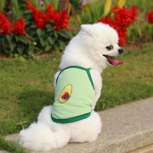 2pcs Suspenders Vests Mesh Breathable Pet Clothes-Reluova