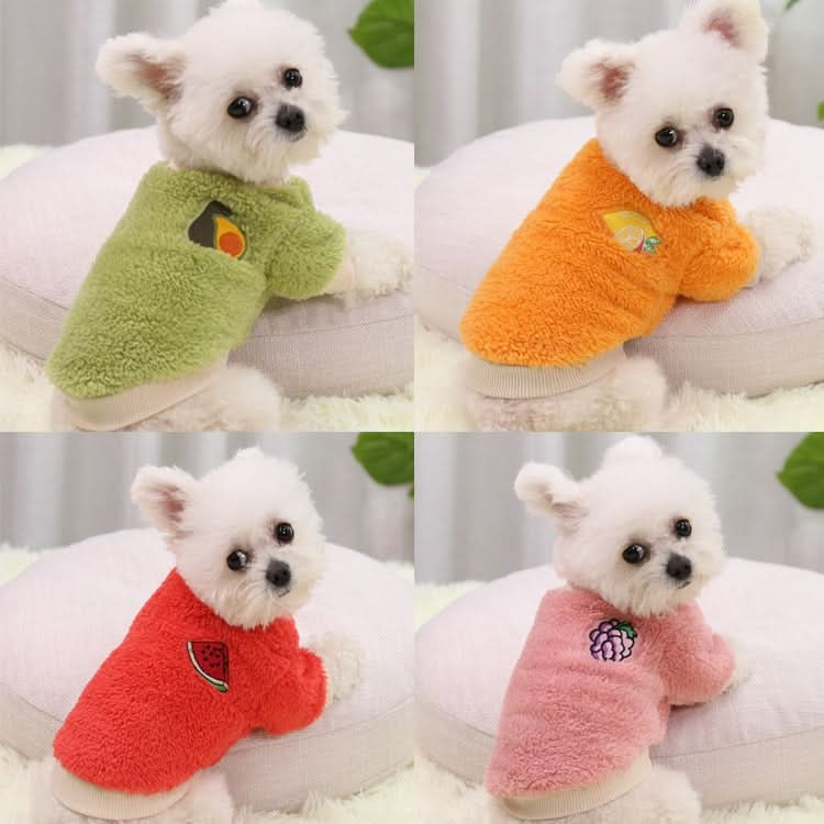 2pcs Dogs Keep Warm Two Feet Clothes Bipanda Cat Clothes - Reluova