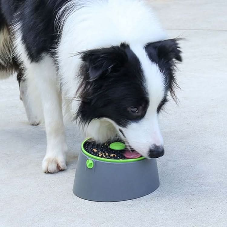 Multi-functional Card Dog Cage Licking Plate Suction Cup Dog Feeder - Reluova