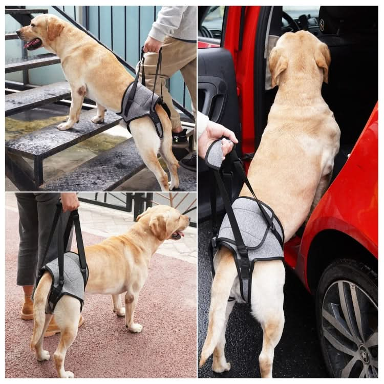 Dog Hind Leg Auxiliary Strap Decompression Auxiliary Travel Belt For Elderly and Injured Dog - Reluova