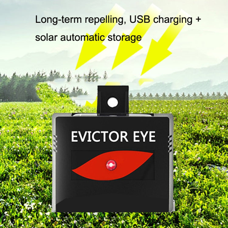 Solar Farm Wild Eagle Eye Animal Repeller My Store