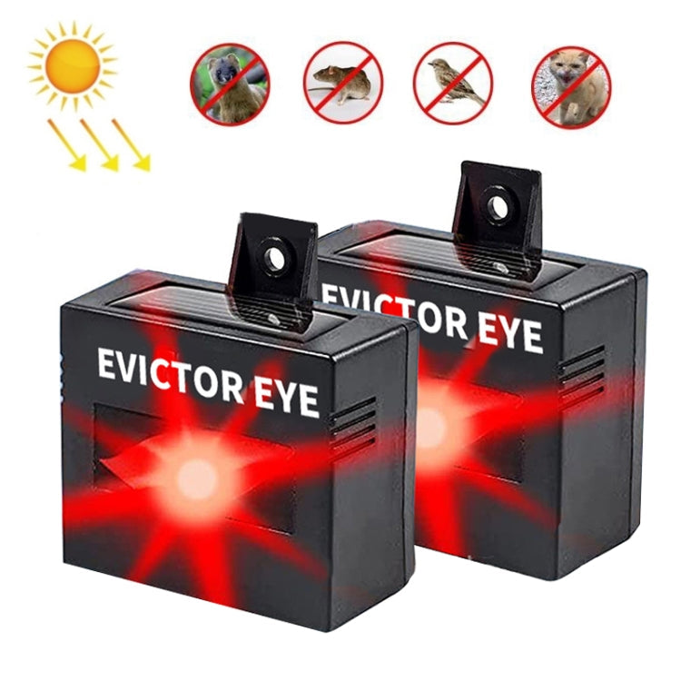 Solar Farm Wild Eagle Eye Animal Repeller My Store