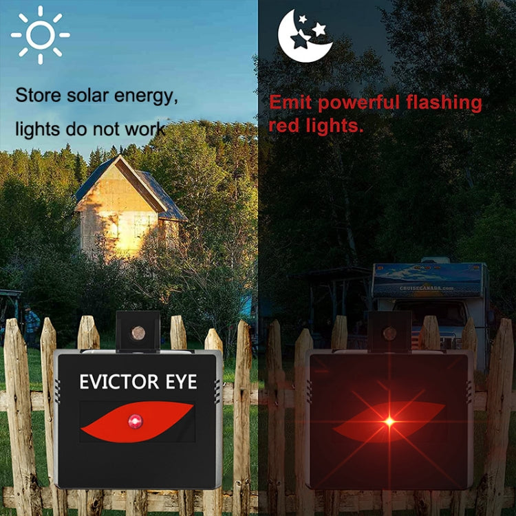 Solar Farm Wild Eagle Eye Animal Repeller My Store