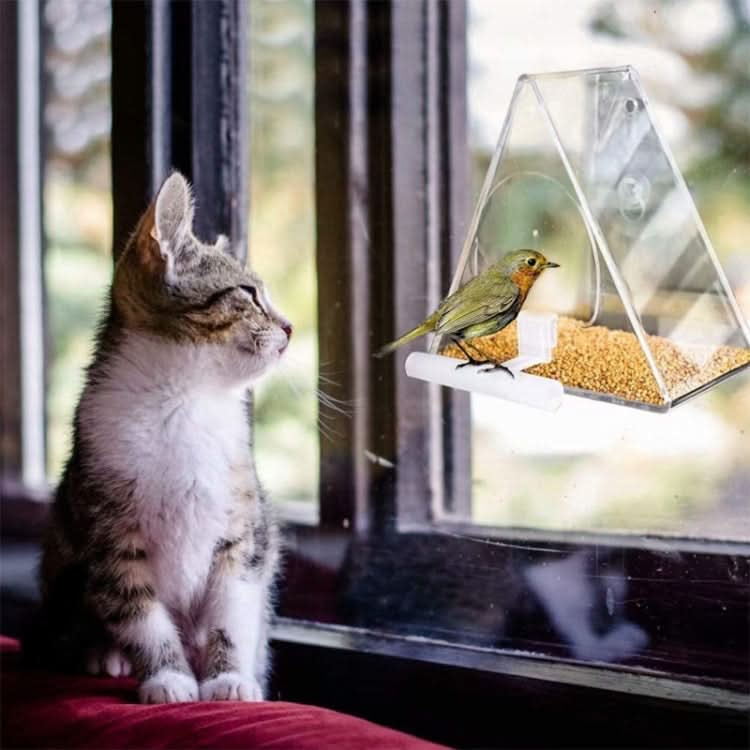 Acrylic Bird Cage Transparent Pet Box Triangle Bird Feeder - Reluova