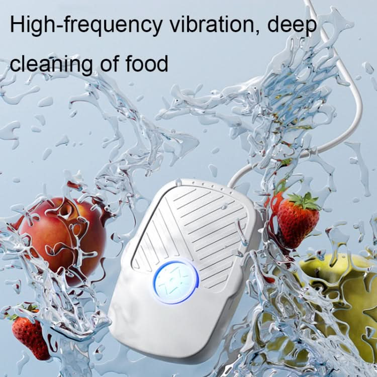 QX-022 High-frequency Vibration USB Plug-in Multifunctional Fruit and Vegetable Washing Machine