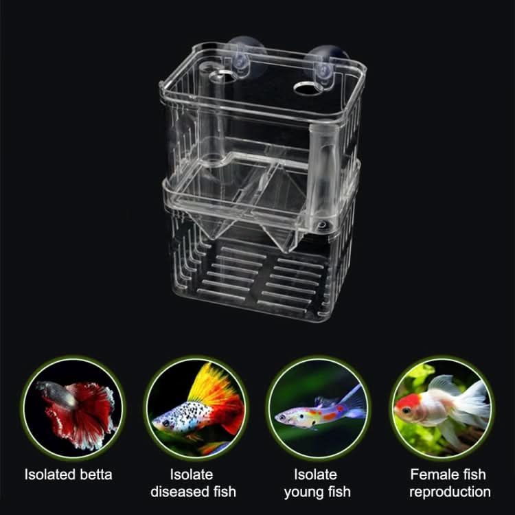 Peacock Fish Double Layer Transparent Breeding Isolation Box Aquarium Breeding Box - Reluova