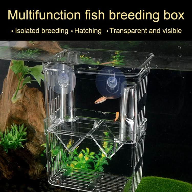 Peacock Fish Double Layer Transparent Breeding Isolation Box Aquarium Breeding Box - Reluova