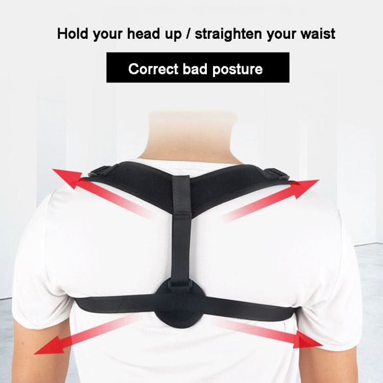 Adjustable Back Posture Corrector Improve Hunchback Belt For Women And Men Reluova