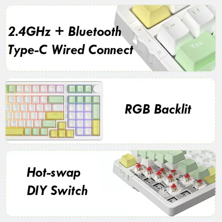 Heijue AK992 99 Keys Wireless/Bluetooth Three-Mode Hot Swap RGB Gaming Mechanical Keyboard My Store