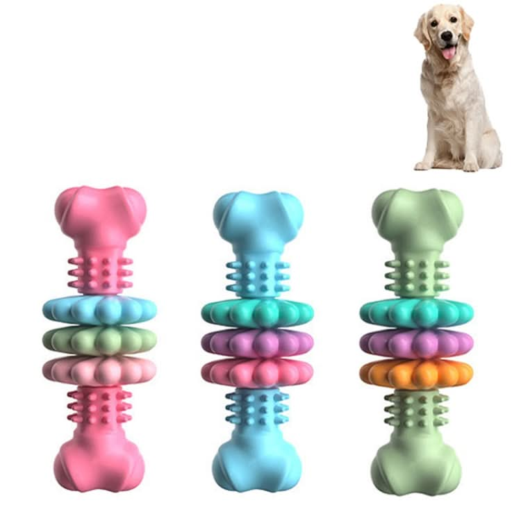 BG5056 TPR Pet Chewing Toys Bone Shape Dog Teething Stick - Reluova