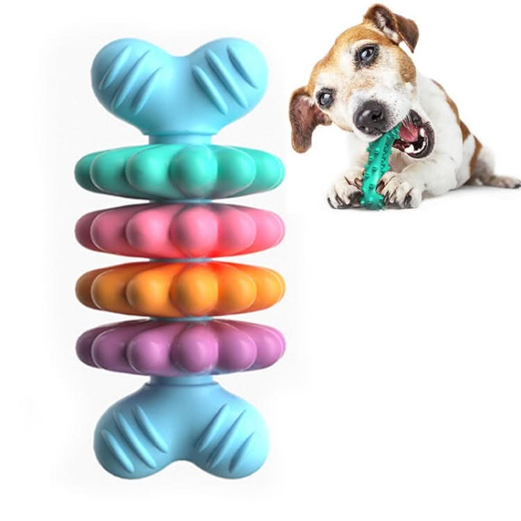 BG5051 Pet Chew Toys Bone Shape Dog Teething Sticky - Reluova