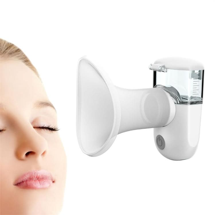 Rechargeable Eye Sprayer Mini Face Steamer Humidifier with Fine Mist Reluova