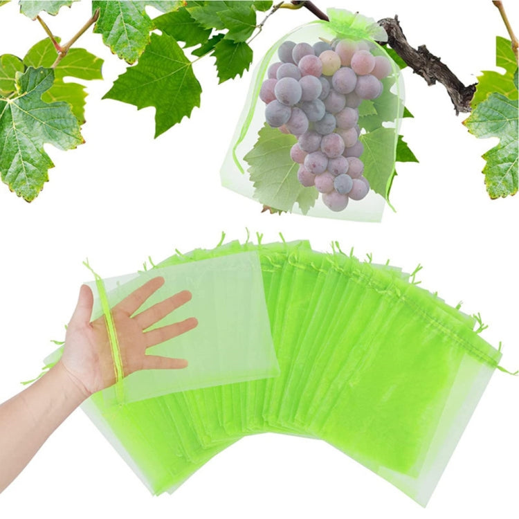 100pcs /Pack  Fruit Protection Bag Anti-Insect And Anti-Bird Net Bag, Series 1