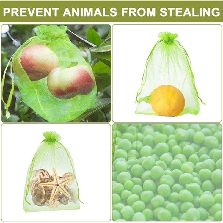 100pcs /Pack  Fruit Protection Bag Anti-Insect And Anti-Bird Net Bag, Series 2