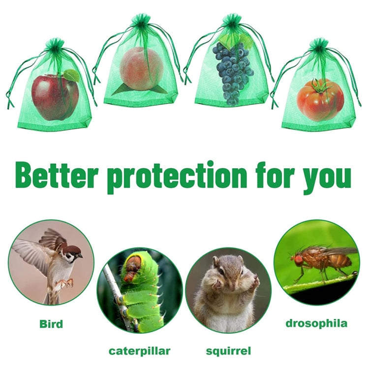 100pcs /Pack  Fruit Protection Bag Anti-Insect And Anti-Bird Net Bag, Series 2