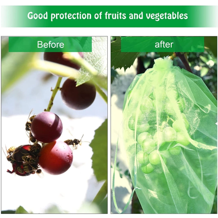 100pcs /Pack  Fruit Protection Bag Anti-Insect And Anti-Bird Net Bag, Series 2