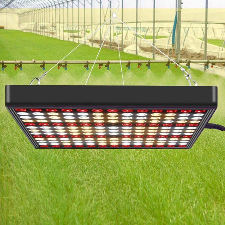 Quantum Plant Growth Lighting Outdoor Full Spectrum Planting Lamp My Store