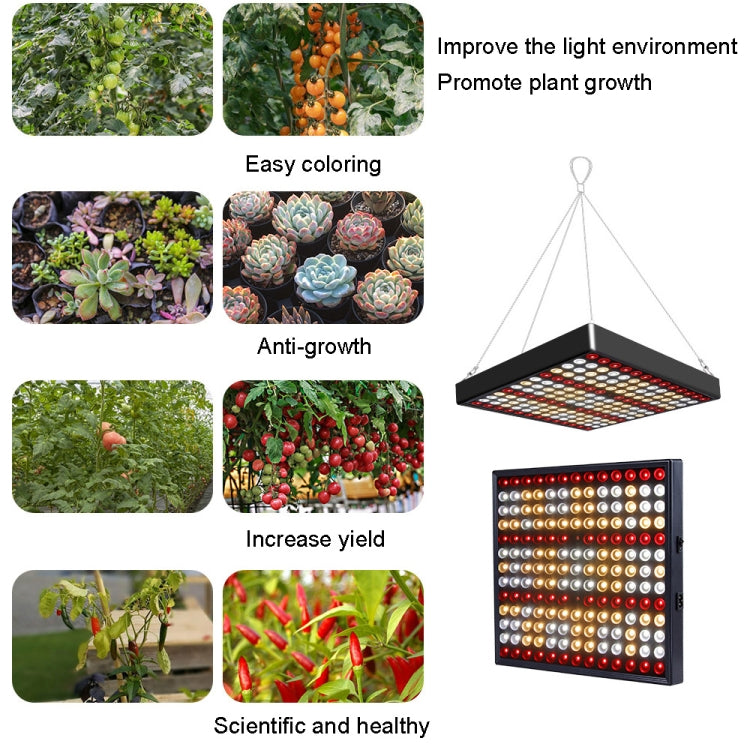 Quantum Plant Growth Lighting Outdoor Full Spectrum Planting Lamp My Store