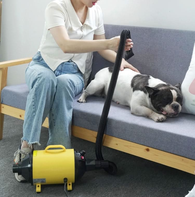 2100W Dog Dryer Stepless Speed Pet Hair Blaster With Vacuum Cleaner, Series 1 - Reluova