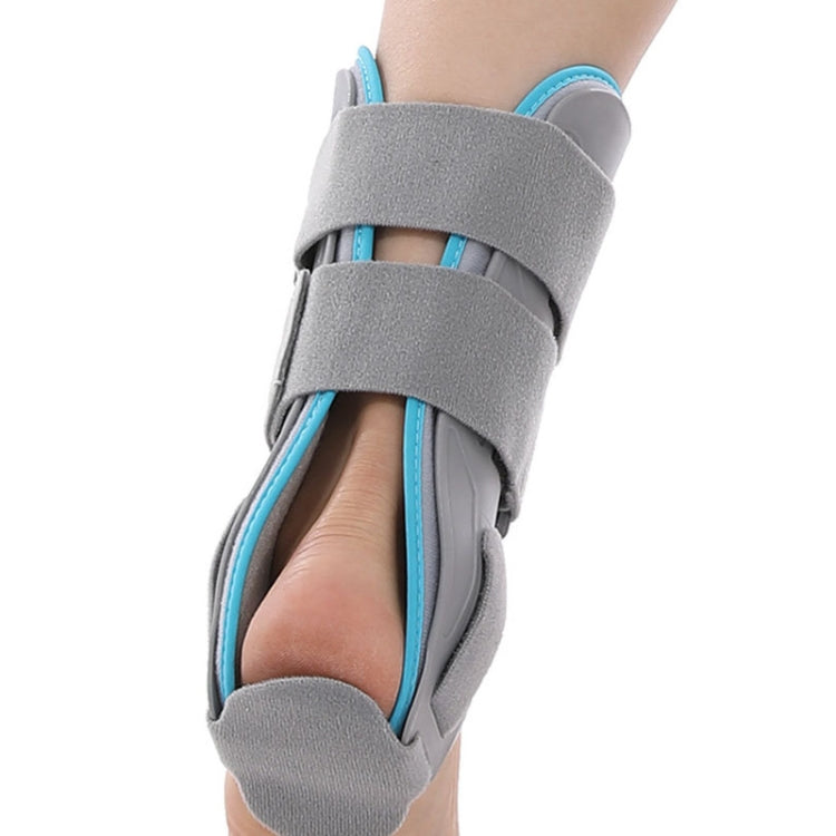 Ankle Fixation Brace Ankle Sprain Dislocation Fracture Support Fixation My Store