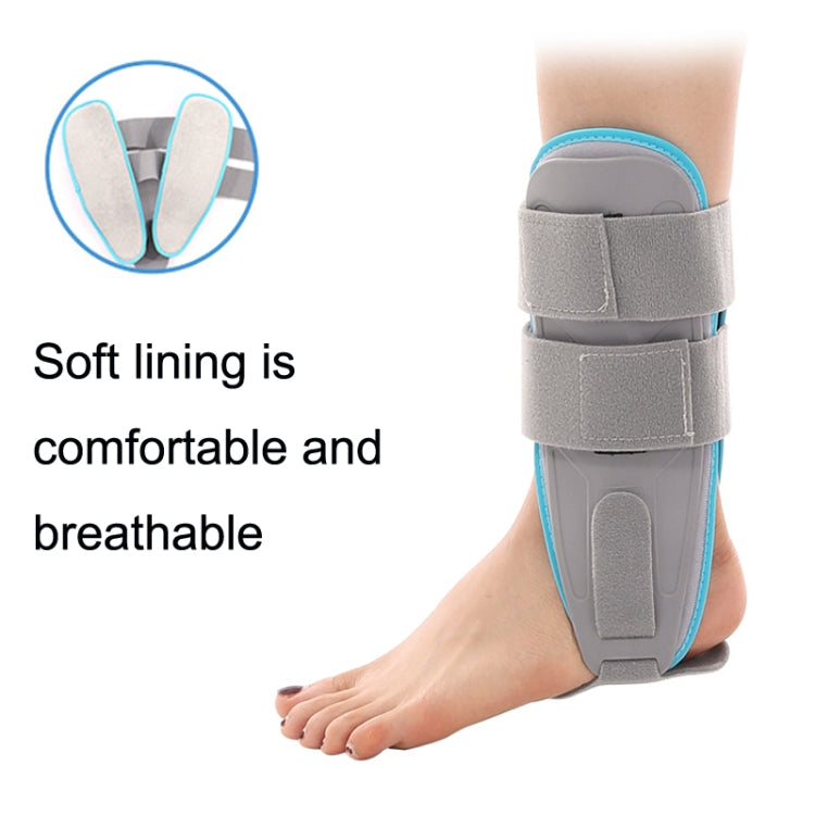 Ankle Fixation Brace Ankle Sprain Dislocation Fracture Support Fixation My Store